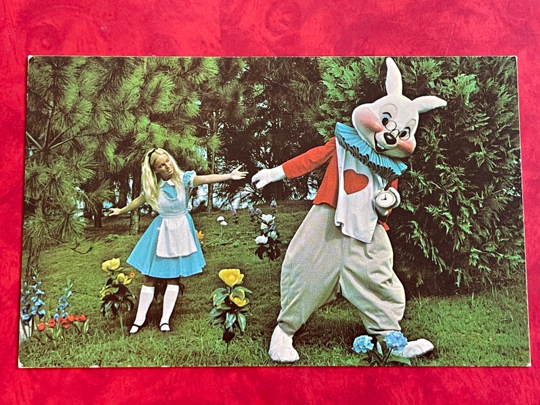 Vintage Walt Disney World Postcard - Hurry Alice We're Late