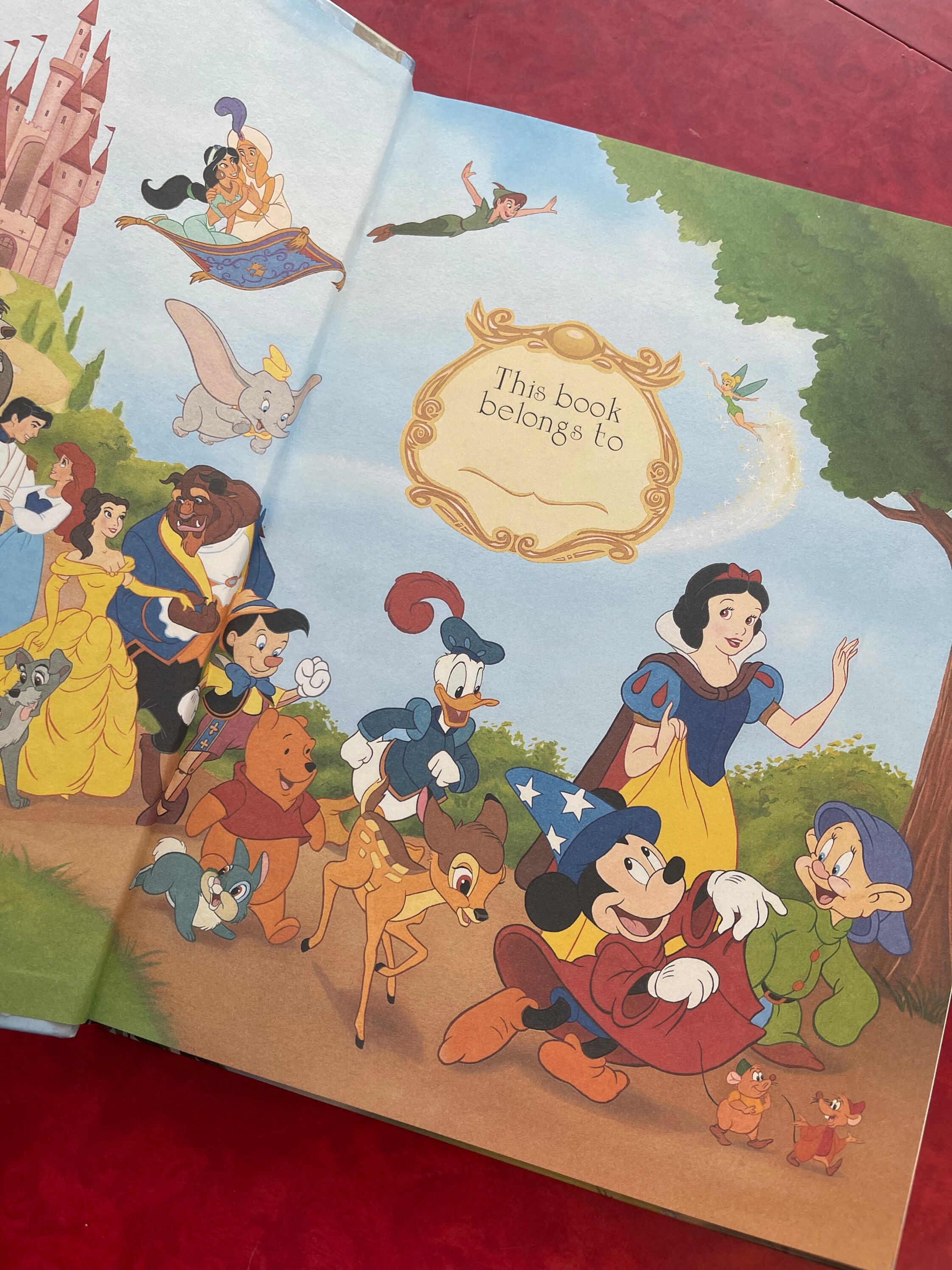 ヴィンテージ 1995 ウォルト ディズニーのポカホンタス ディズニー