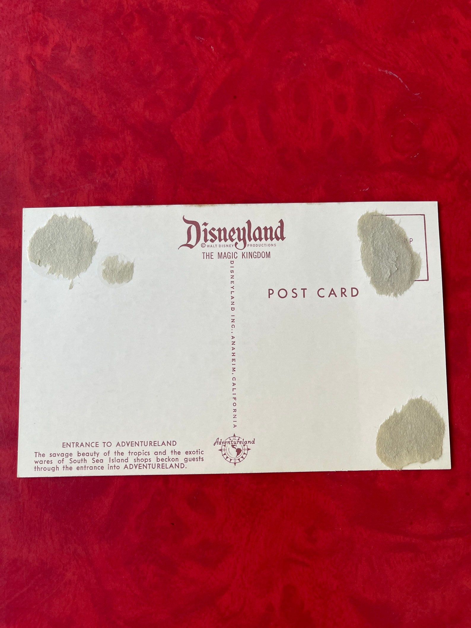 Vintage Disneyland Adventureland Postcard Entrance to Adventureland - Etsy