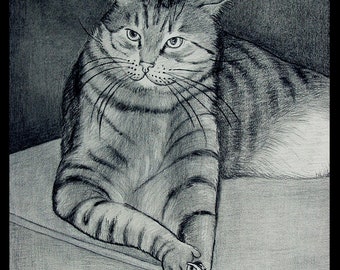 Original Fine Art Charcoal Drawing - The Cat Petter -