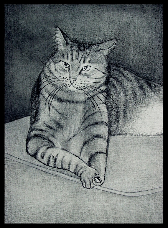 Original Fine Art Dessin Au Fusain Le Chat Petter