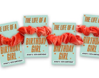 The Life of a Birthday Girl Scrunchies SET - Girls Party Favor - The Life of a Birthday Party Favor - Girl Trendy Birthday - Life of A Party