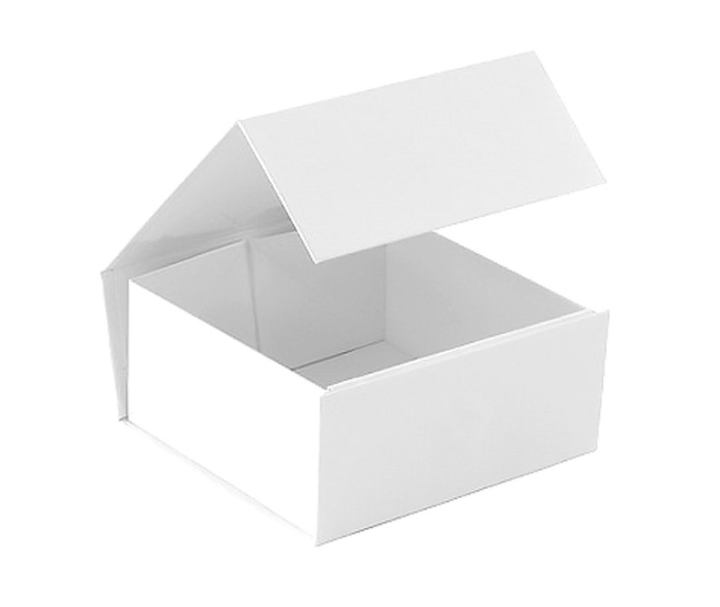 May include: A white cardboard box with a hinged lid. The lid is open and the box is empty.
