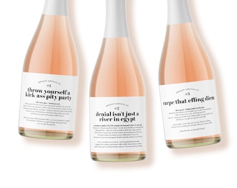 Breakup Survival Kit - Divorce Gift Wine Label - Break Up Champagne Labels - Funny Break Up Gift - Break Up Gift For Women - Set of 3