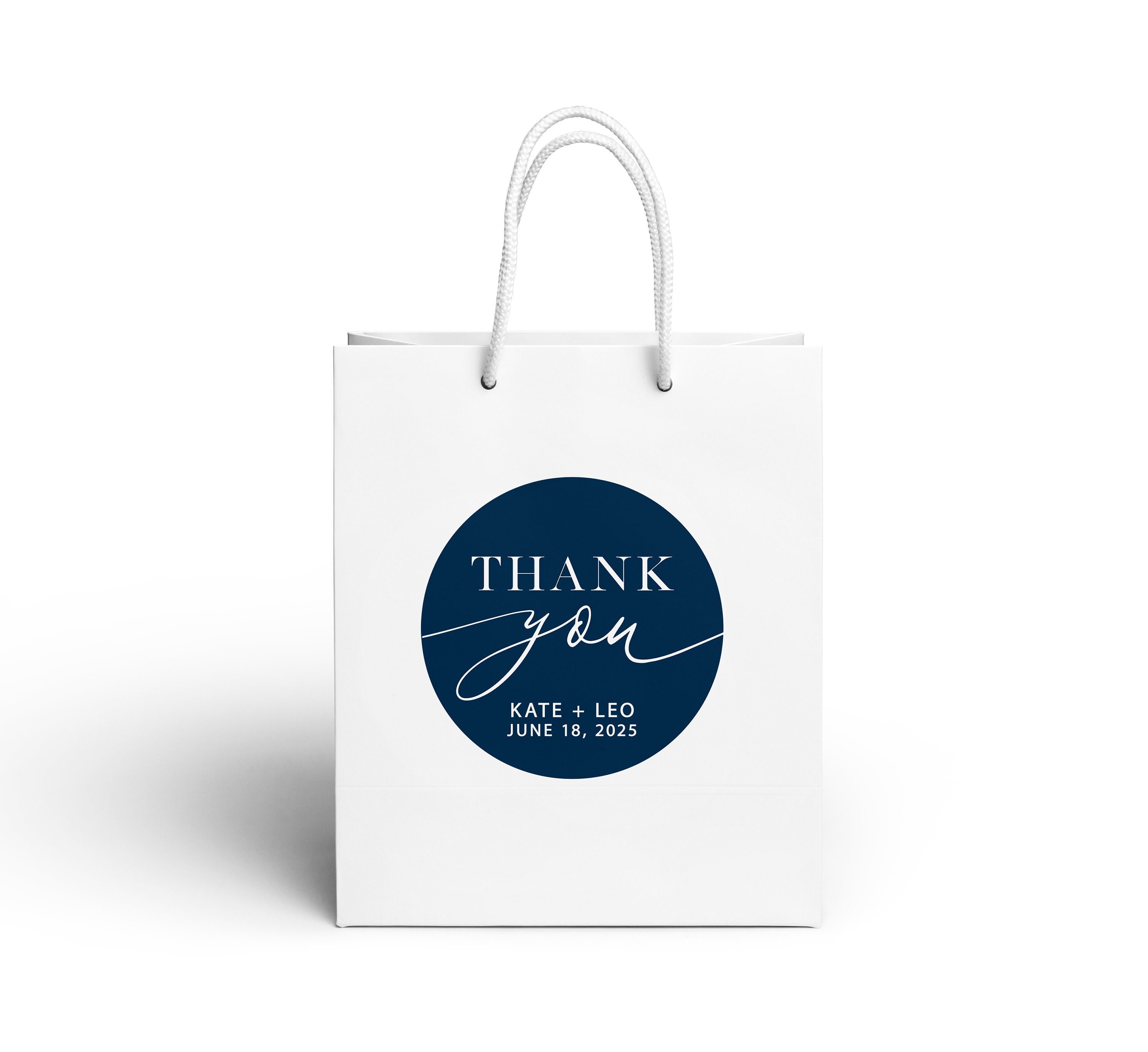 Saintrygo 80Pcs Clear Plastic Gift Bags with Handles Small Transparent PVC  Gift Bags Reusable Tote Bags for Shopping Wedding Favor(5.9 x 5.1 x 2.8
