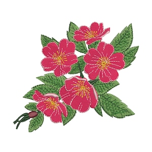 Design de bordado de rosa selvagem: lindo padrão floral (download instantâneo)