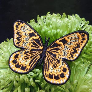 Freestanding Embroidery Design - Butterfly Embroidery Pattern - Freestanding Butterfly Machine Embroidery Design - Instant Download