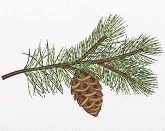 Spruce Machine Embroidery Design: Forest Pattern (Instant Download)
