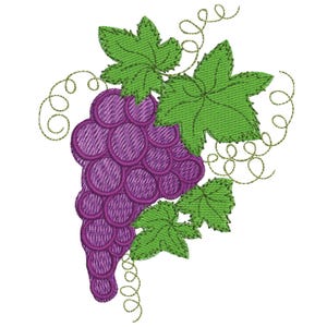 Grapes Embroidery Design - Fruit Embroidery Pattern - Twig of Grapes Embroidery Design - Machine Embroidery Design - Instant Download