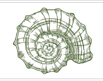 Muschel Skizze Stickdatei, Stickdatei Meer Muschel, Stickdatei Strand Stickmaschine, Instant Download,