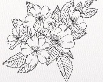 Rose Sketch Embroidery Design: Floral Machine Pattern (Instant Download)