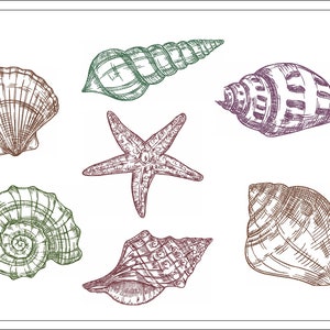 Small Shells embroidery file, sea shells embroidery design, shell sketch collection machine embroidery design, Instant Download,