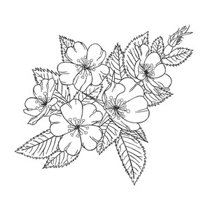 Desenho de bordado de rosa selvagem: padrão floral à máquina (download instantâneo)