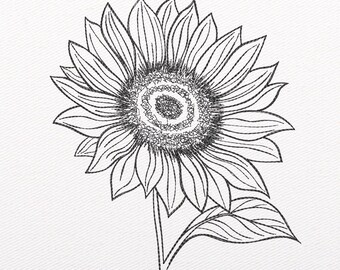 Sunflower Sketch Embroidery Design - Machine Embroidery Pattern - Digital Download