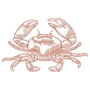 Crab Embroidery Design - Crab Sketch Embroidery Pattern - Sea Life Embroidery Design - Machine Embroidery Design - Instant Download