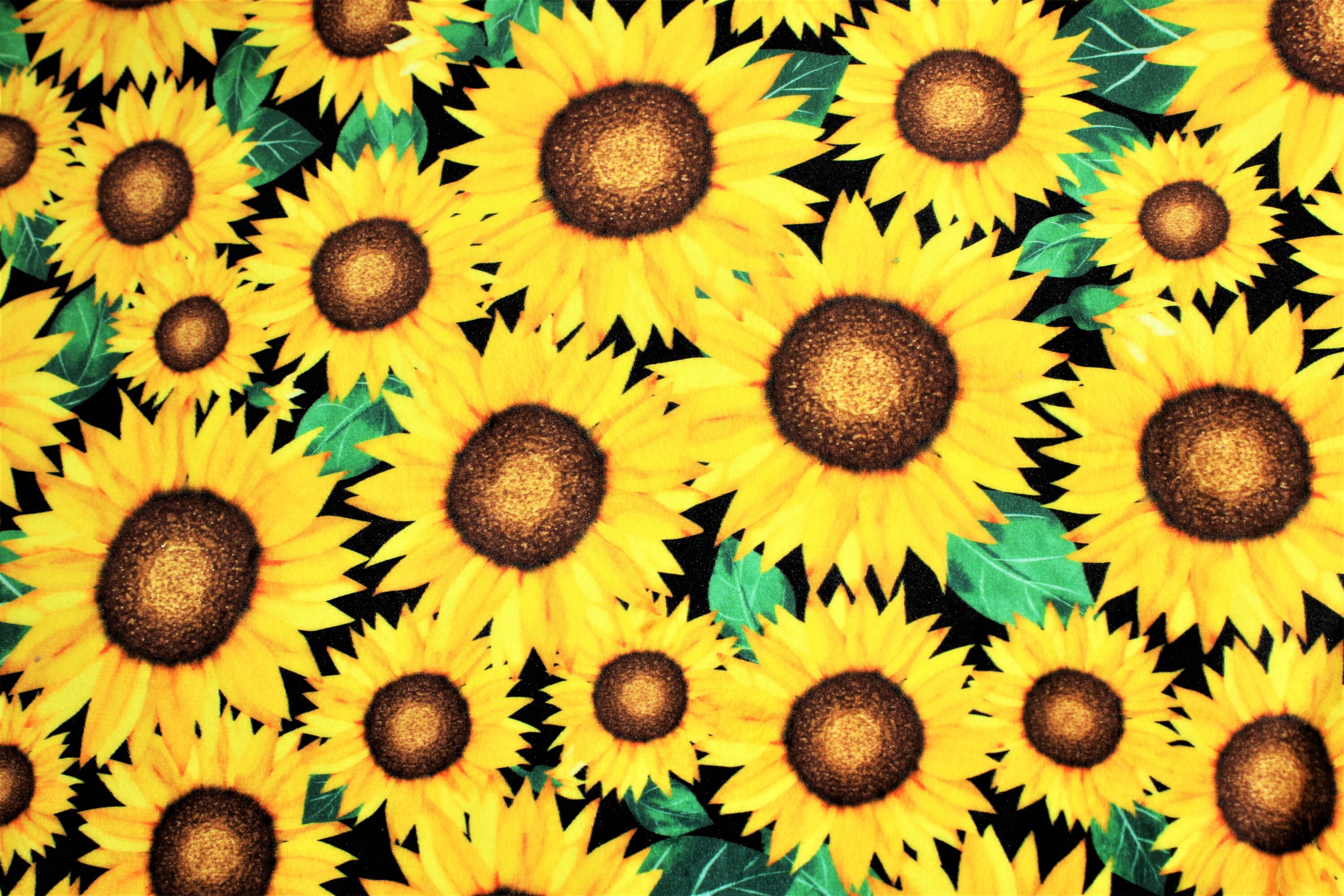 Sunflower minky hotsell