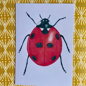 Marienkäfer Postkarte - Handgezeichnete Notizkarte - Aquarell Druck
