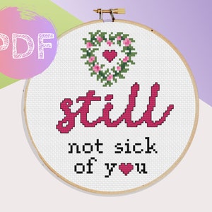 Still Not Sick Of You Cross Stitch PDF Pattern | Instant Digital Download | Valentine's Day Cross Stitch Pattern | Valentine's Day Gift Love