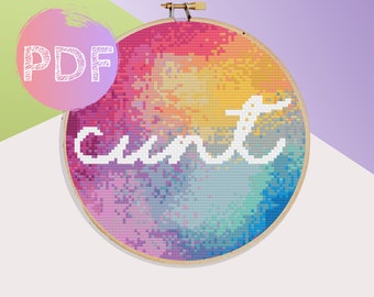 Regenboog 'Cunt' Cross Stitch PDF-patroon | Vloeken subversieve moderne kruissteek | Regenboog kruissteekpatroon