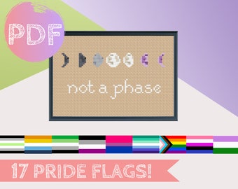 Asexual Not A Phase Moon Cross Stitch PDF Pattern | Modern Cross Stitch | Ace Pride Flag