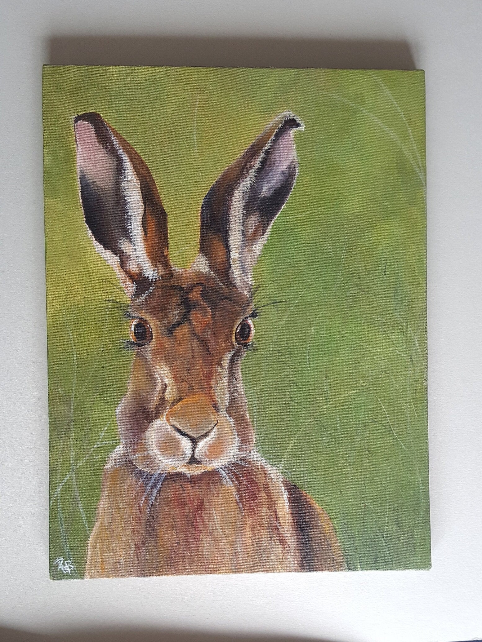 Handsome Hare painting Acrylic on canvas wildlife art. Etsy