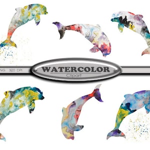 Clip Art Watercolor Dolphin Clip Art Digital Download