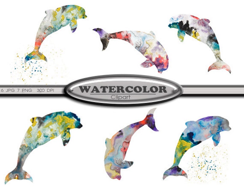 Clip Art Watercolor Dolphin Clip Art Digital Download Etsy