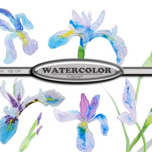 Clip Art Watercolor Irises flowers clip art, instant download
