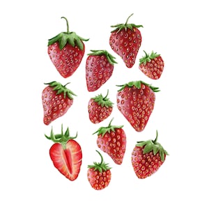 Strawberry Illustration Print, Watercolor Painting, Fruit Wall Art, Strawberry Art Wall Decor