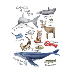 Cape Cod Animals Watercolor Painting, Coastal Illustration Print