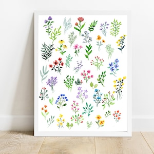 Botanical Illustration Print, Watercolor Painting, Flower Wall Art, Botanical Art Wall Decor