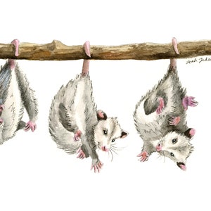 Little Possum Watercolor Print, Woodland Animal Art, Opossum Art Print from Original