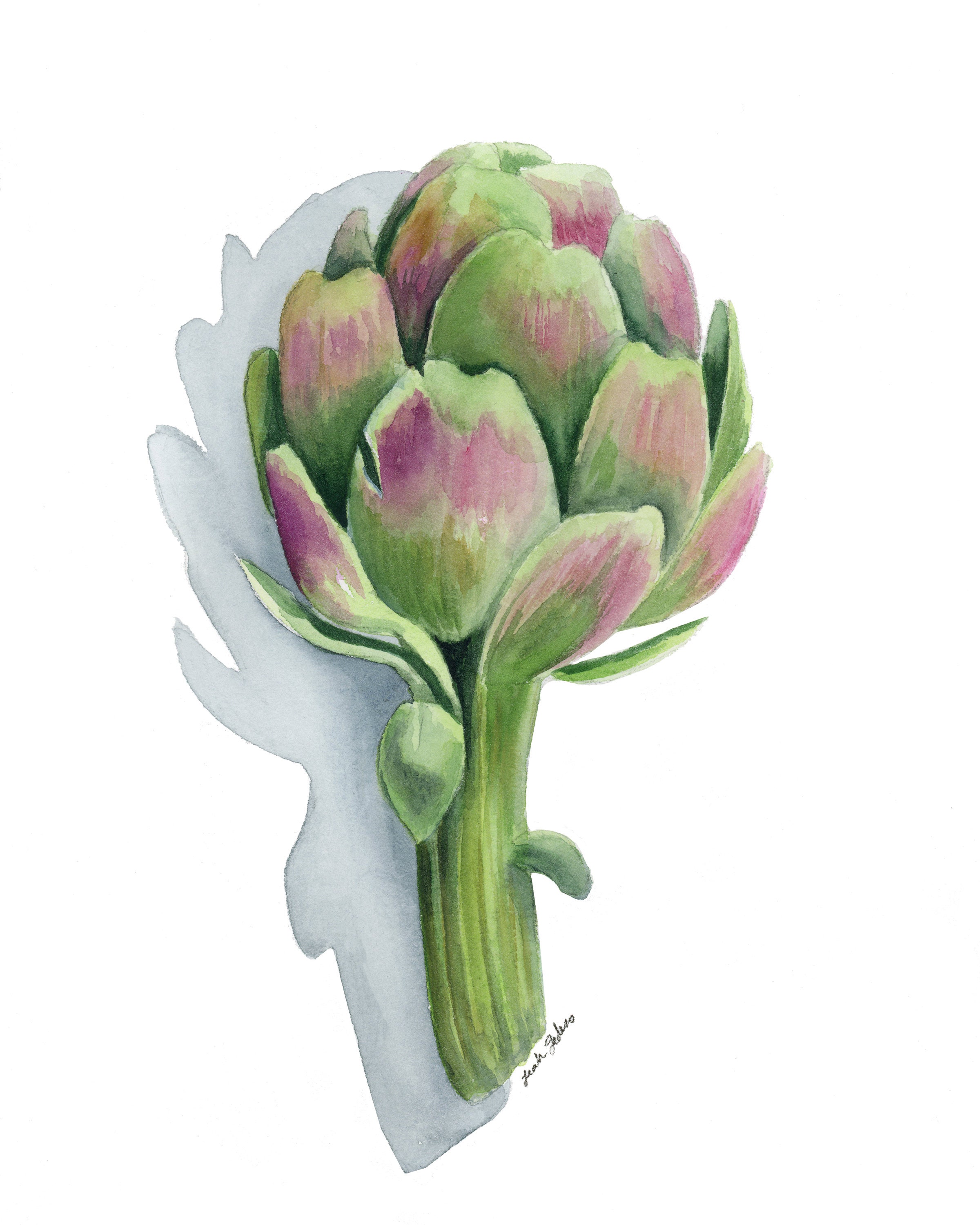 Artichoke Watercolor Print, Food Art Illustration, Vegetable Print