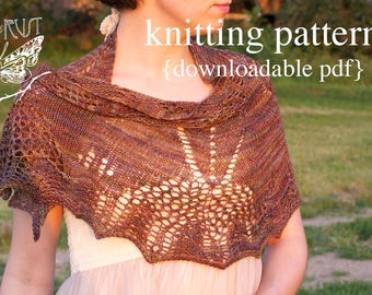 Cicada Shawl Knitting Pattern - PDF digital document download - how to instructions - fiber craft diy knit scarf shawl