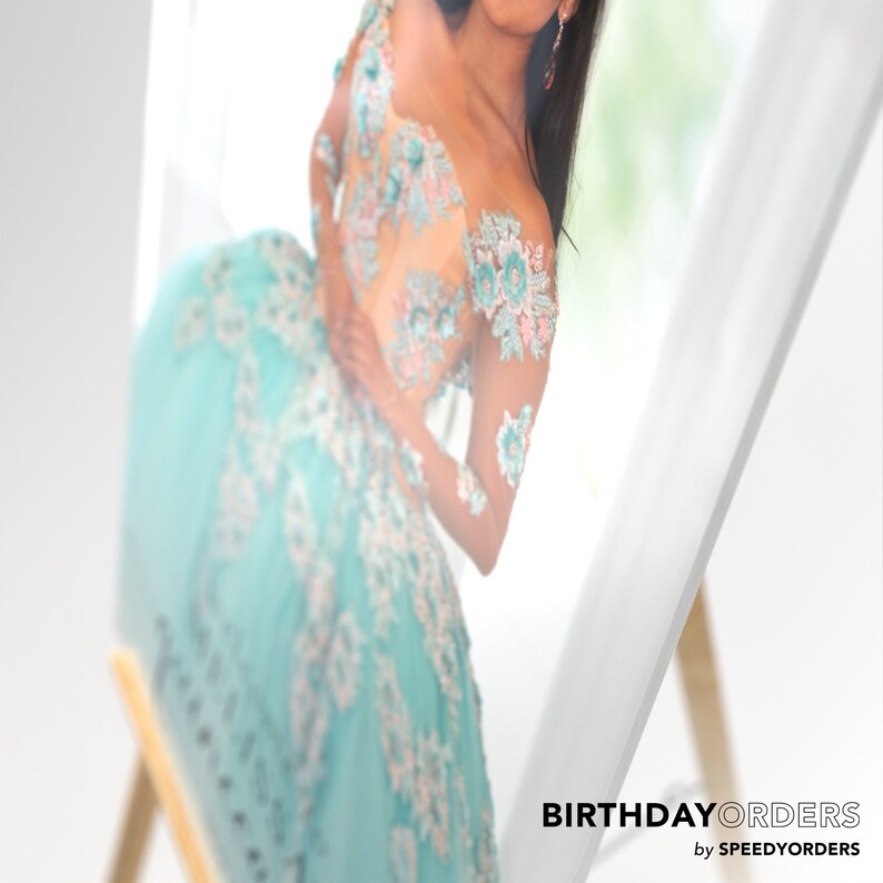 May include: A woman wearing a light blue tulle gown with floral embroidery. The gown has a sweetheart neckline and long sleeves. The woman is standing in front of a white background.