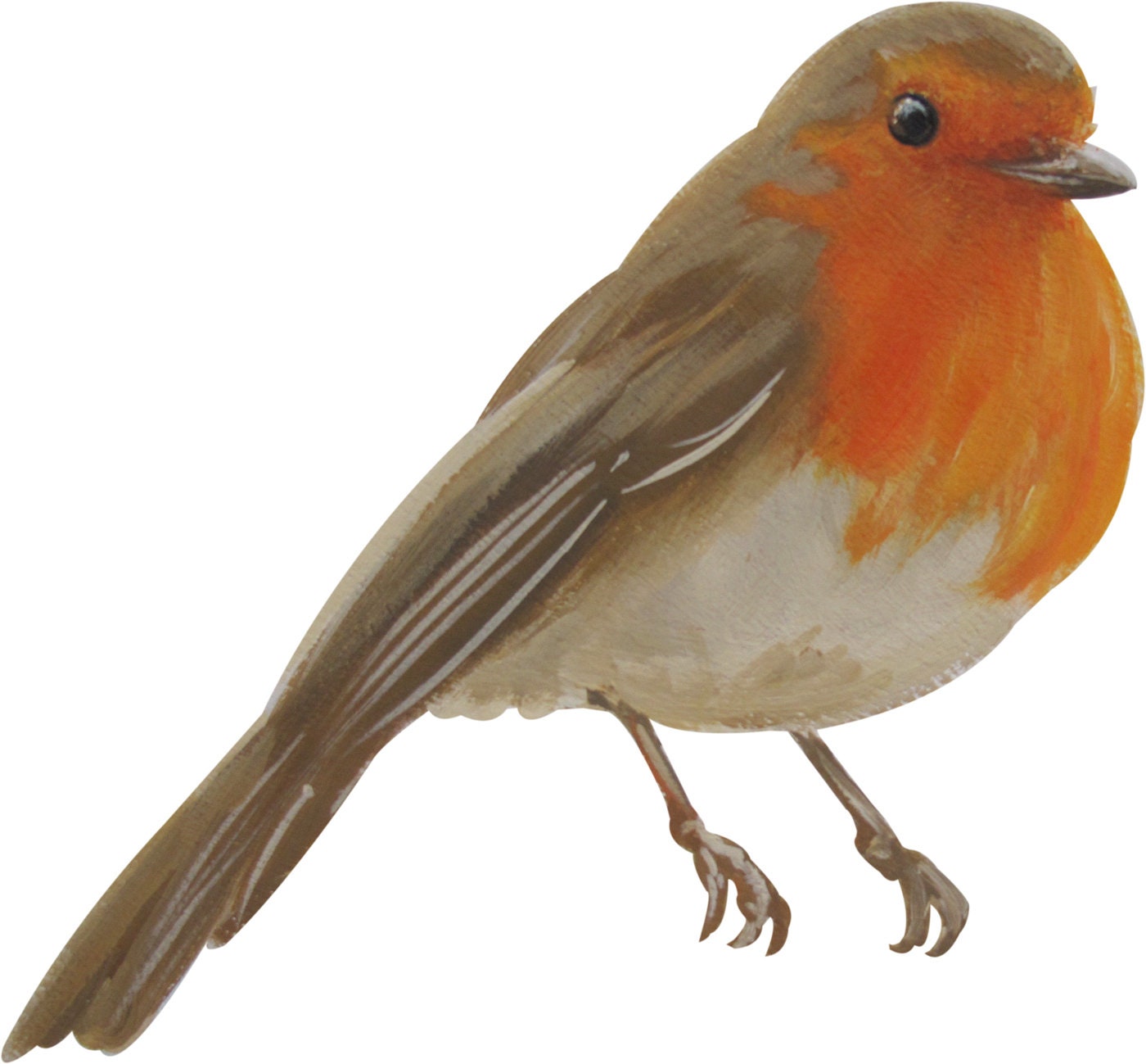 Robin Wall Decal Bird Wall Decal Bird Wall Decals Bird Wall Etsy