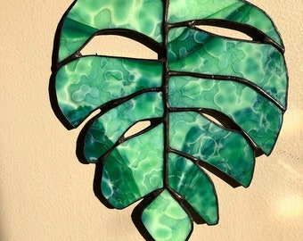 Plant leaf monstera indoor plant