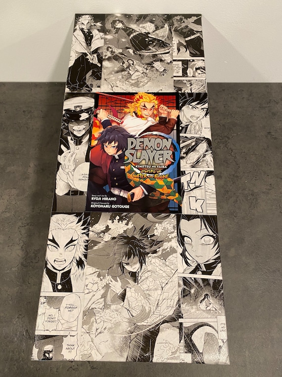 Boîte de protection pour manga