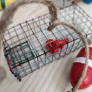May include: A small wire cage with a red lobster inside. The cage is hanging from a piece of twine. A red and white buoy is hanging from the twine below the cage.