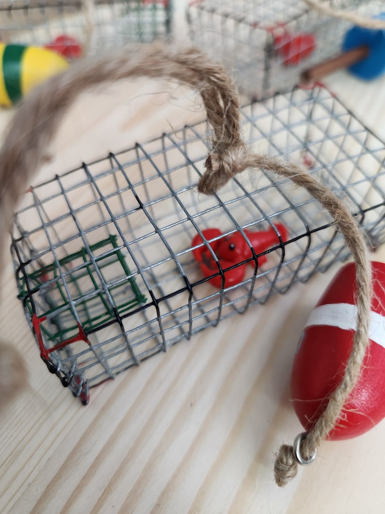 May include: A small wire cage with a red lobster inside. The cage is hanging from a piece of twine. A red and white buoy is hanging from the twine below the cage.
