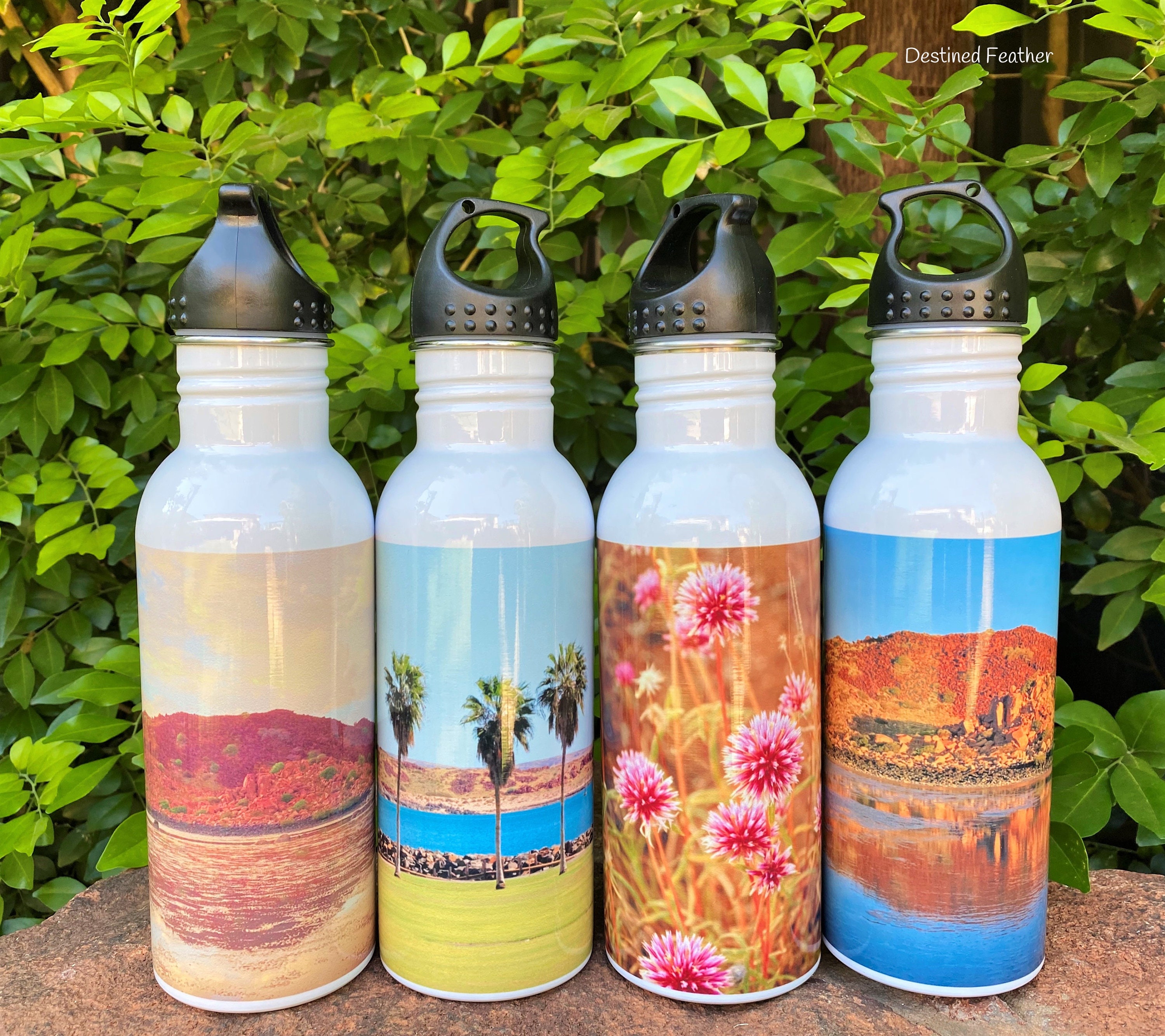 Australiana Water Bottle Eco Water Bottle Wildflower Drink Etsy