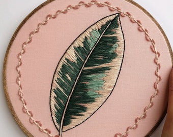Ficus (2 sizes)