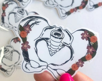 Anatomy Vinyl Stickers