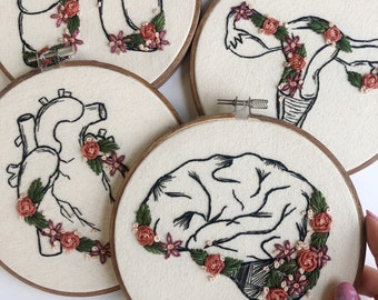 Anatomy hoops