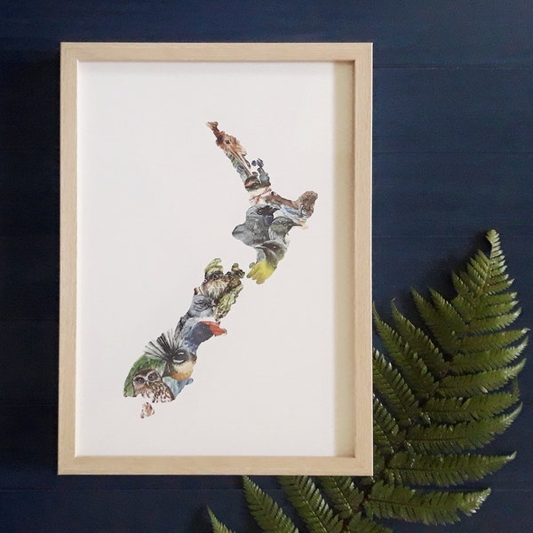 New Zealand Map with native birds illustration - large print