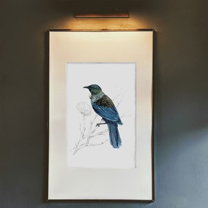 May include: A framed illustration of a blue bird perched on a branch with white flowers. The bird has a white patch on its throat and a long tail.