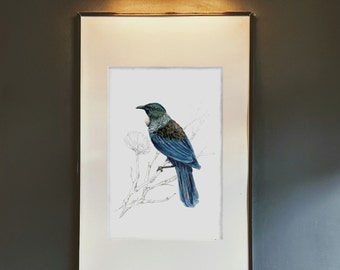 Tui print, native bird of New Zealand painting