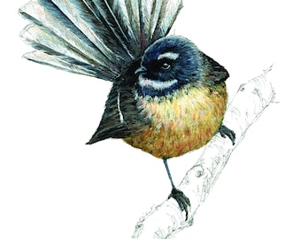 Fantail bird print - New Zealand art