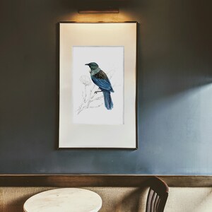 May include: A framed illustration of a blue and green bird perched on a branch with white flowers. The frame is white with a thin black border and is hanging on a dark blue wall.