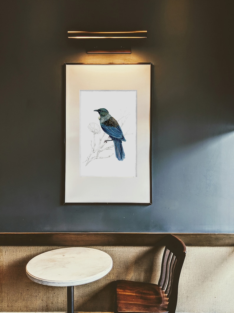 May include: A framed illustration of a blue and green bird perched on a branch with white flowers. The frame is white with a thin black border and is hanging on a dark blue wall.